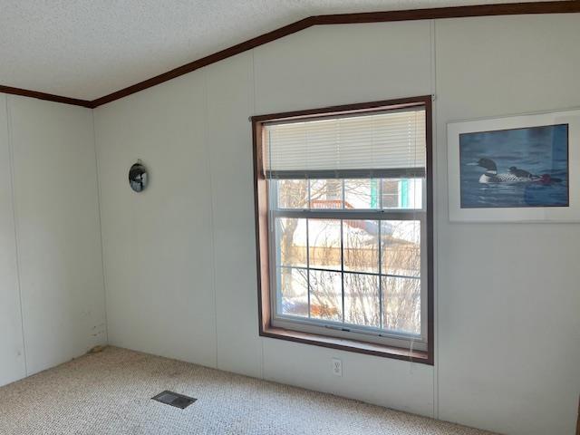 empty room with a textured ceiling, visible vents, carpet flooring, and ornamental molding