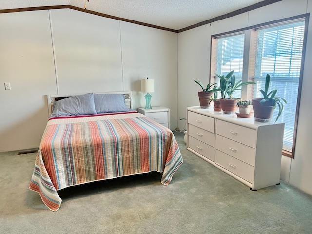 carpeted bedroom with crown molding and a textured ceiling