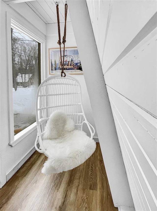 interior details featuring baseboards and wood finished floors