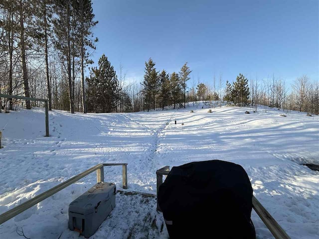 view of yard layered in snow