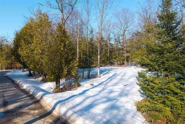 Listing photo 2 for TBD Western Ave, Charlevoix MI 49720