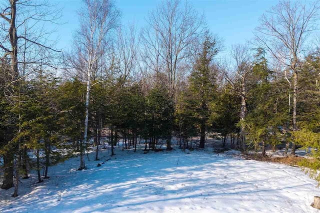 Listing photo 3 for TBD Western Ave, Charlevoix MI 49720