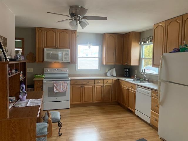 kitchen with light wood-type flooring, a wealth of natural light, white appliances, and a sink