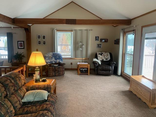 carpeted living area with plenty of natural light and vaulted ceiling