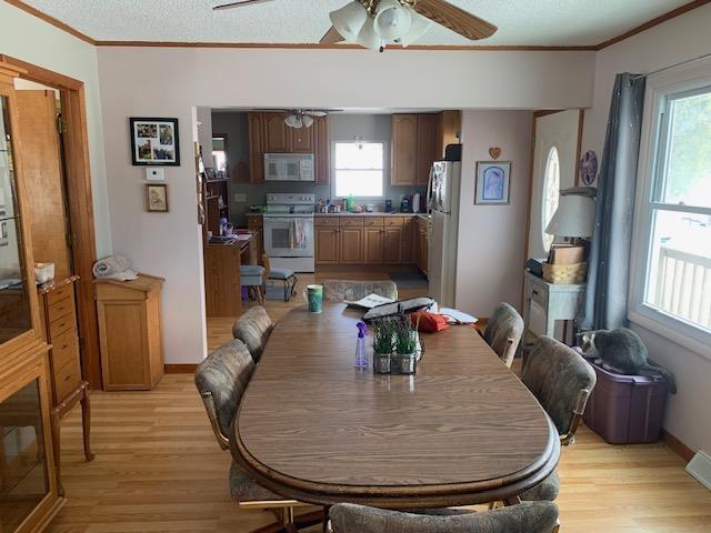 dining space with a textured ceiling, ornamental molding, and light wood-type flooring