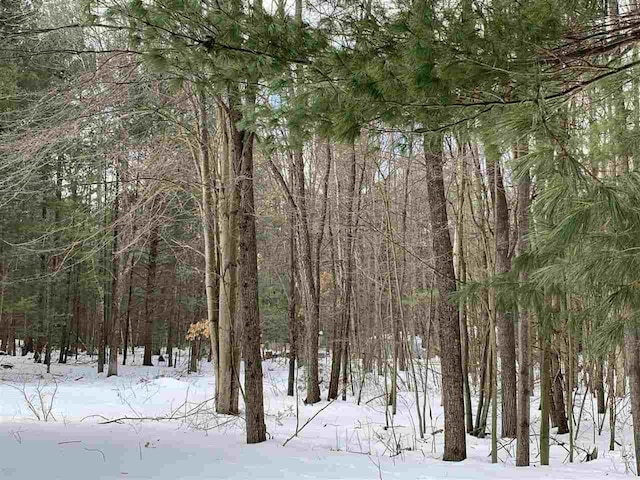 view of snow covered land featuring a view of trees