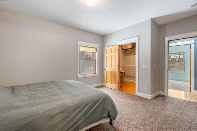 bedroom with carpet floors, a spacious closet, and baseboards