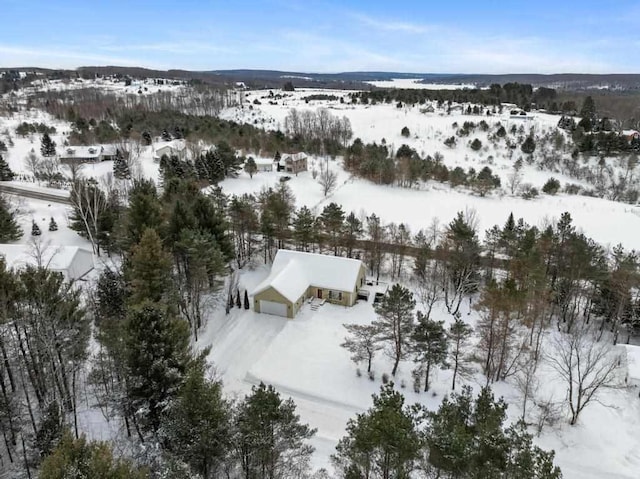 view of snowy aerial view