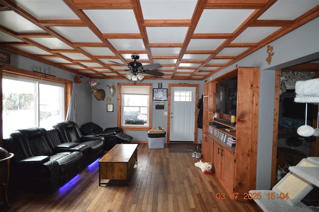 living area featuring ceiling fan, hardwood / wood-style floors, coffered ceiling, and a healthy amount of sunlight