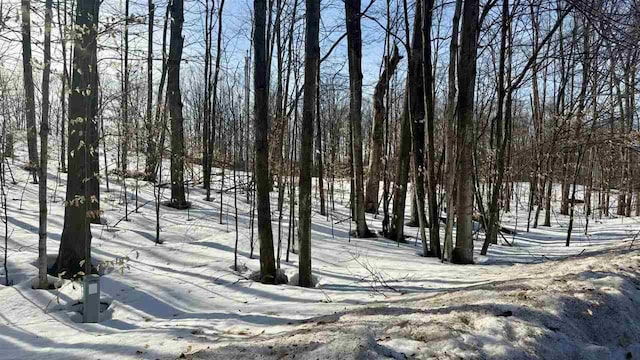 Listing photo 2 for LOT199 Hilltop Dr, Bellaire MI 49615