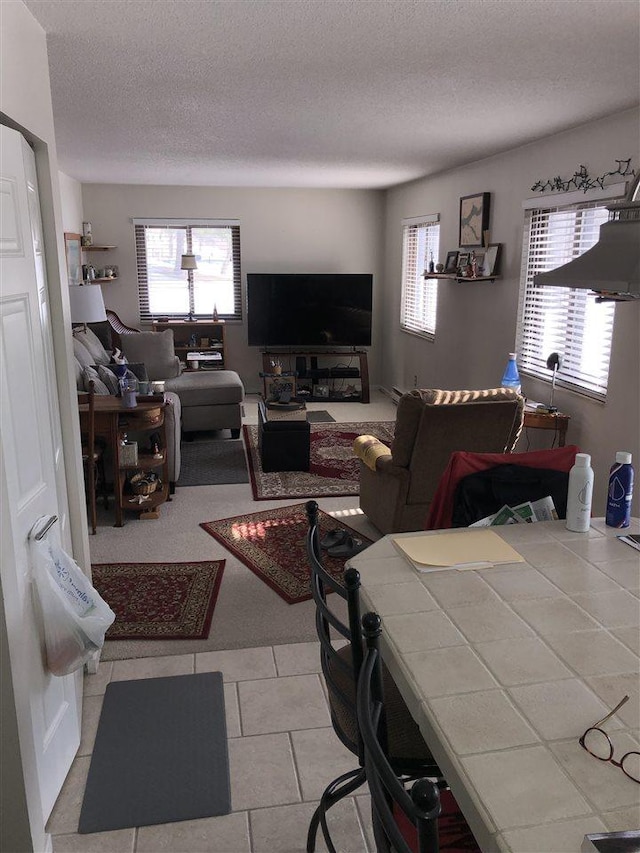 living area featuring a textured ceiling