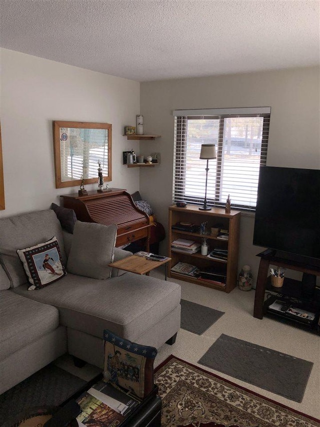 living room featuring carpet floors and a textured ceiling