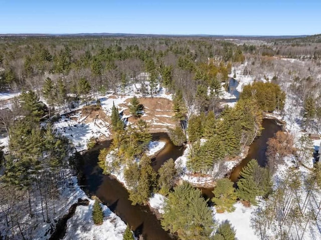 birds eye view of property featuring a forest view