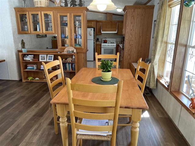 dining room with dark wood finished floors and plenty of natural light