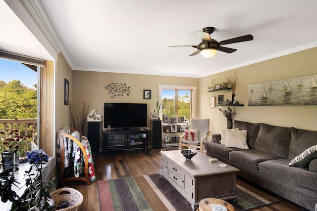 living room with a ceiling fan, crown molding, and wood finished floors