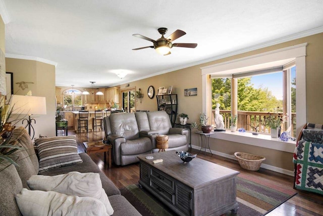 living area with baseboards, dark wood finished floors, and crown molding