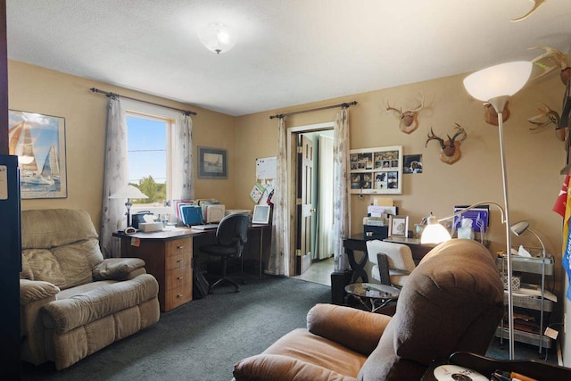 view of carpeted home office