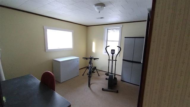 exercise room featuring visible vents, crown molding, and carpet