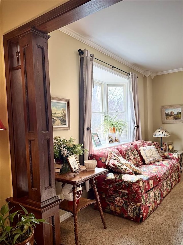 living area featuring carpet and ornamental molding