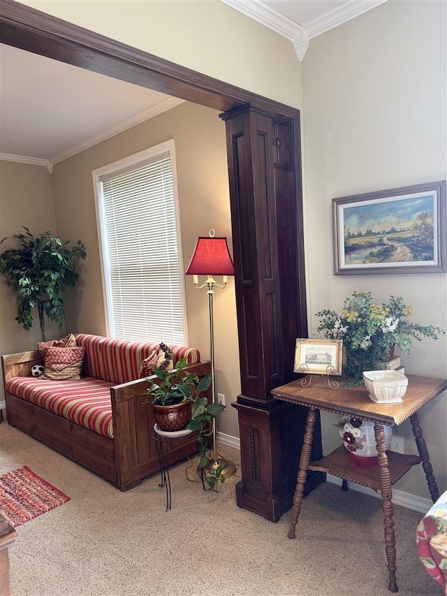 carpeted living area featuring baseboards and ornamental molding