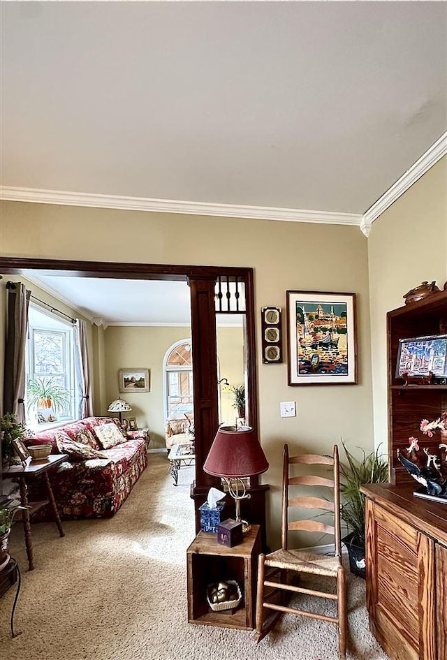 sitting room with crown molding and carpet