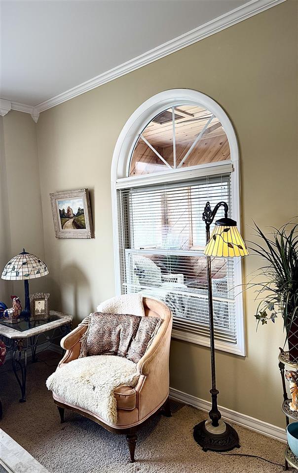 living area featuring carpet flooring, baseboards, and ornamental molding