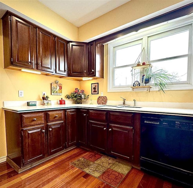 kitchen featuring dark wood-type flooring, black dishwasher, light countertops, and a sink