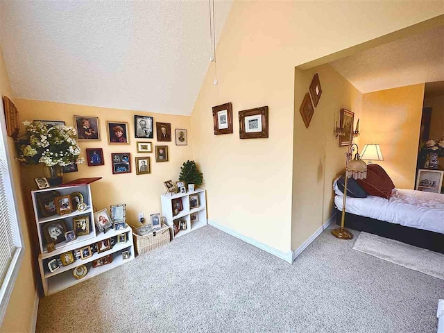 interior space featuring baseboards, a textured ceiling, carpet, and vaulted ceiling