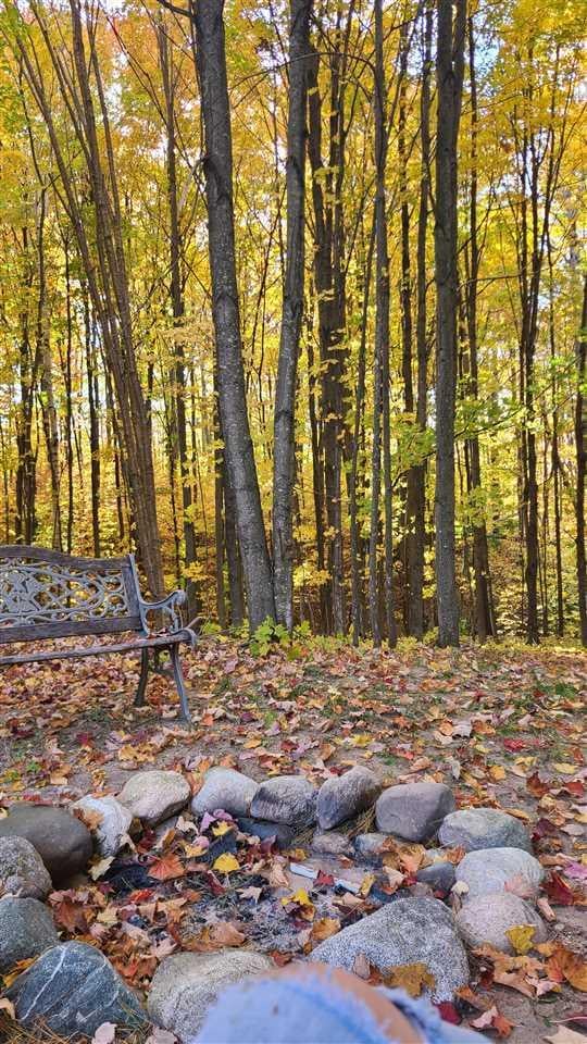 1595 Catob Rd, Harbor Springs, MI 49740 - view of wooded area