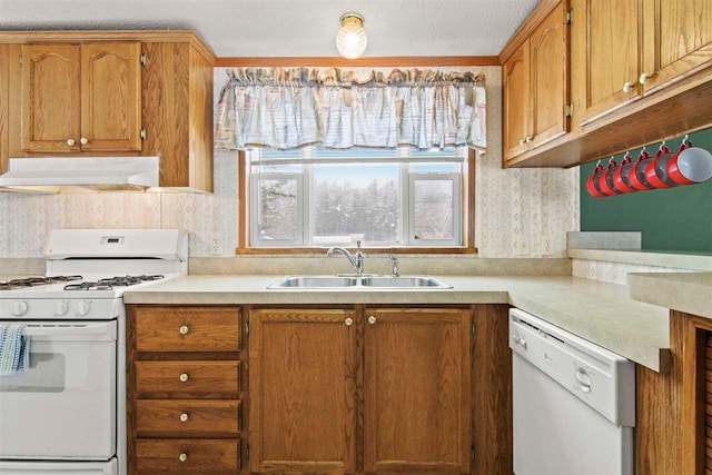 7116 S M-88 Hwy, Bellaire, MI 49615 - kitchen featuring light countertops, a sink, brown cabinets, under cabinet range hood, and white appliances