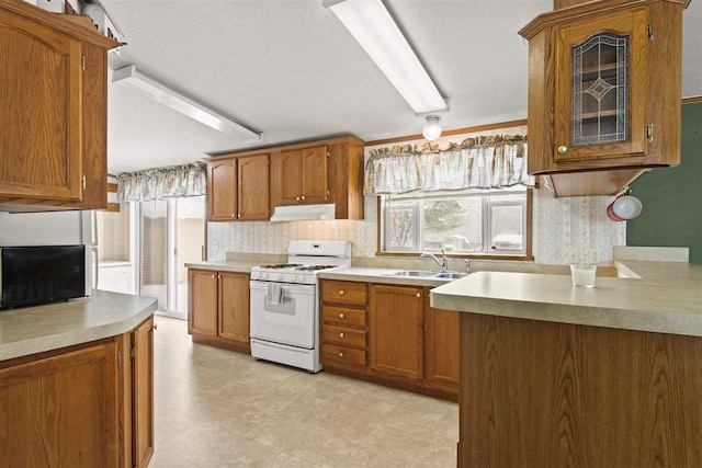 7116 S M-88 Hwy, Bellaire, MI 49615 - kitchen featuring white gas range oven, a sink, brown cabinets, glass insert cabinets, and under cabinet range hood