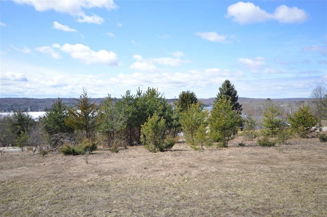 107 Lakeview Dr, East Jordan, MI 49727