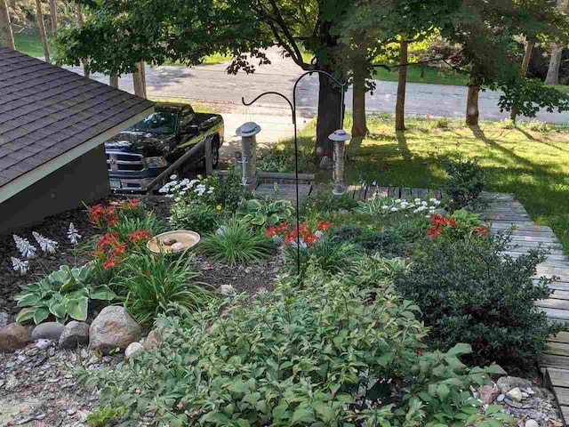 2382 Pleasant Valley Rd, Boyne City, MI 49712 - view of yard