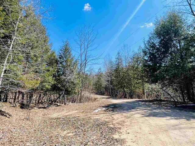 4635 Mohrmann Rd, Central Lake, MI 49622 - view of street featuring a forest view