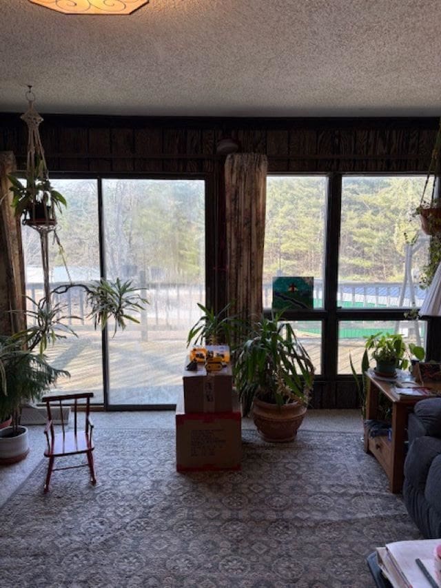 4462 E Brutus Rd, Alanson, MI 49706 - carpeted living room with a textured ceiling