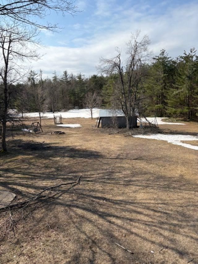 4462 E Brutus Rd, Alanson, MI 49706 - exterior space with a forest view