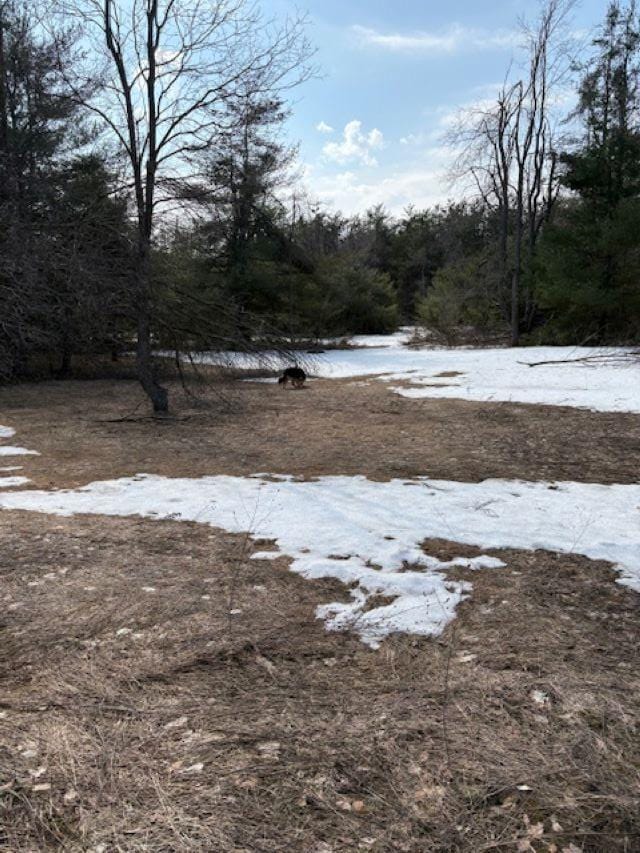 4462 E Brutus Rd, Alanson, MI 49706 - view of yard covered in snow