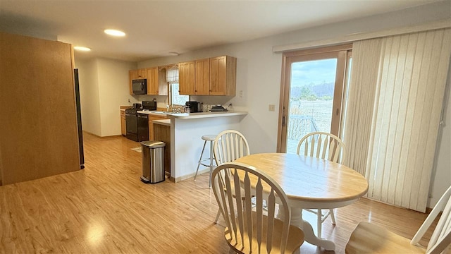 9196 NW Manley Rd, Alden, MI 49612 - kitchen featuring light wood-style flooring, black appliances, and a healthy amount of sunlight