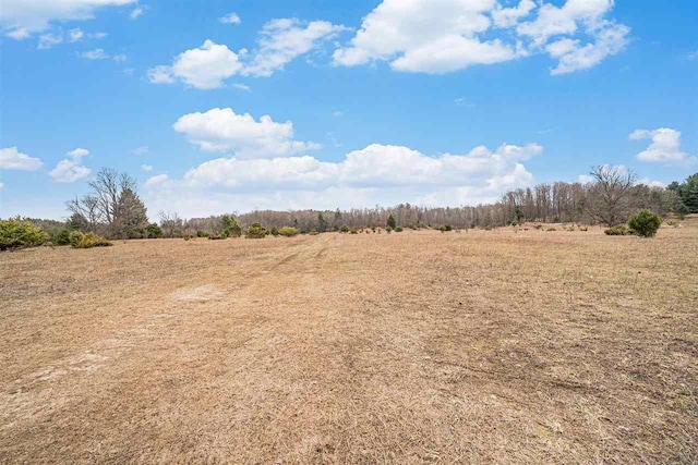 9196 NW Manley Rd, Alden, MI 49612 - view of local wilderness with a rural view