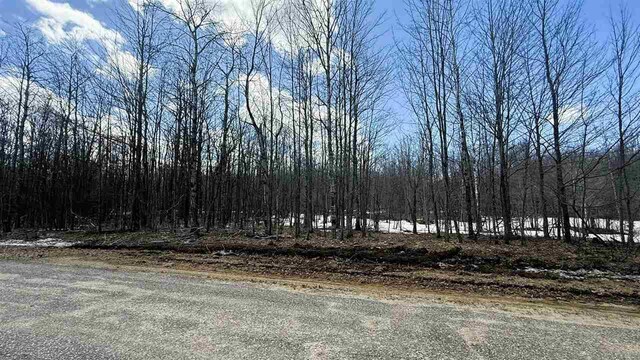 LOT324 Parkridge Dr, Mancelona, MI 49659