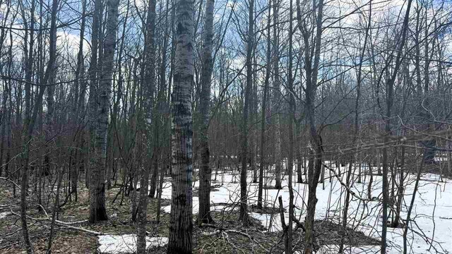 LOT324 Parkridge Dr, Mancelona, MI 49659