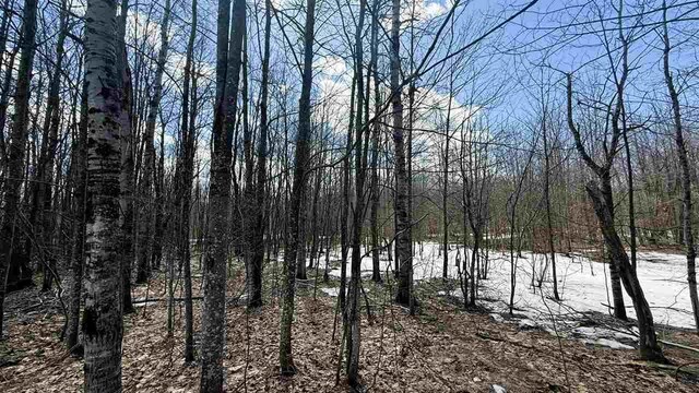 LOT324 Parkridge Dr, Mancelona, MI 49659