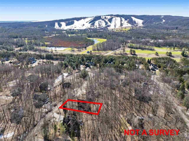 birds eye view of property with a mountain view