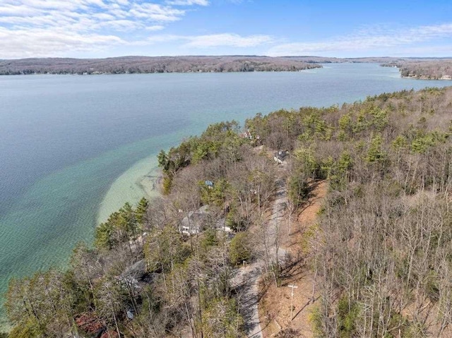 1320 N Shore Dr, Walloon Lake, MI 49796 - aerial view featuring a water view