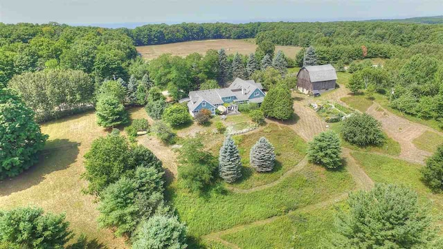 4251 Terpening Rd, Harbor Springs, MI 49740 - aerial view with a view of trees