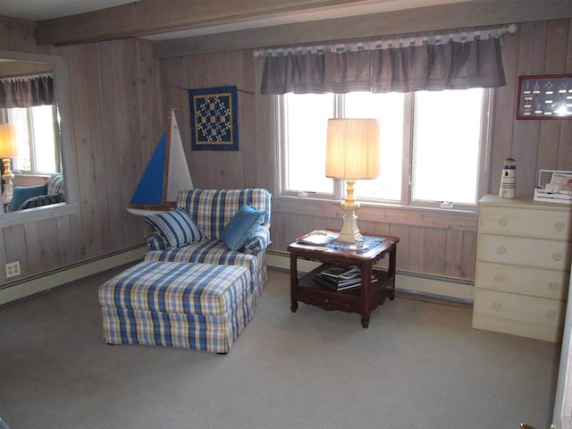 4251 Terpening Rd, Harbor Springs, MI 49740 - sitting room with a baseboard heating unit, wooden walls, and carpet flooring