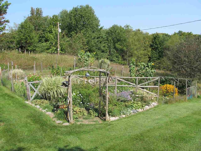 4251 Terpening Rd, Harbor Springs, MI 49740 - view of yard featuring a vegetable garden