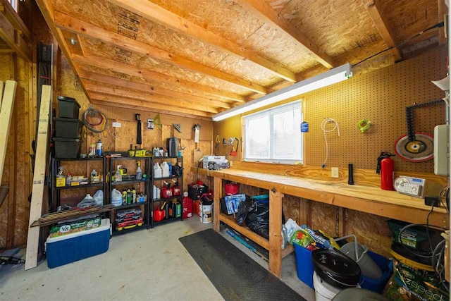6001 N Silver Pines Dr, Bellaire, MI 49615 - view of storage