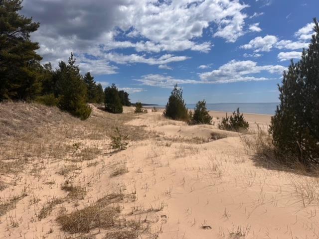 W Top O The Lake Rd, Gulliver, MI 49840