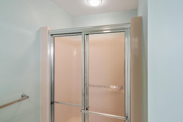 1871 Cherry Hill Ct, Harbor Springs, MI 49740 - bathroom with an enclosed shower